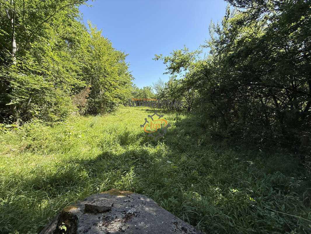Vente Mazet Versols et Lapeyre, 1,25 hectares de terrains - photo 14