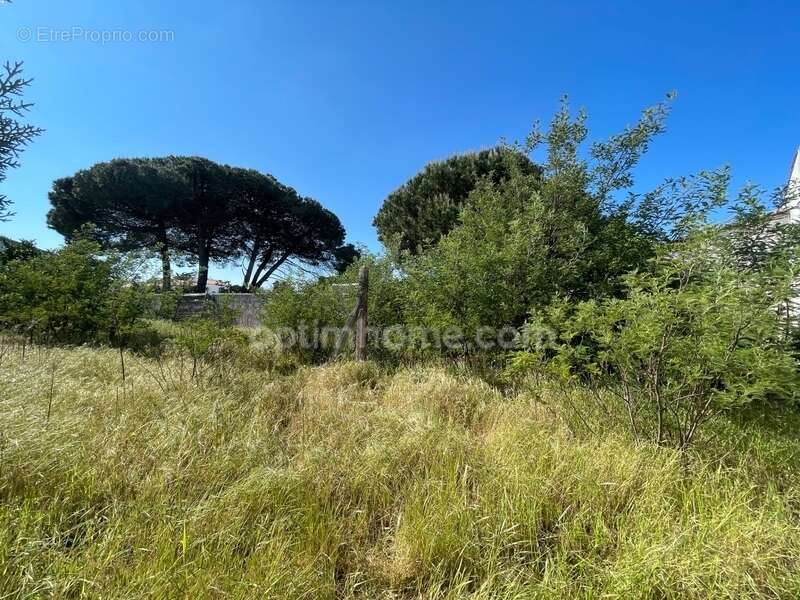 Terrain à LA FLOTTE