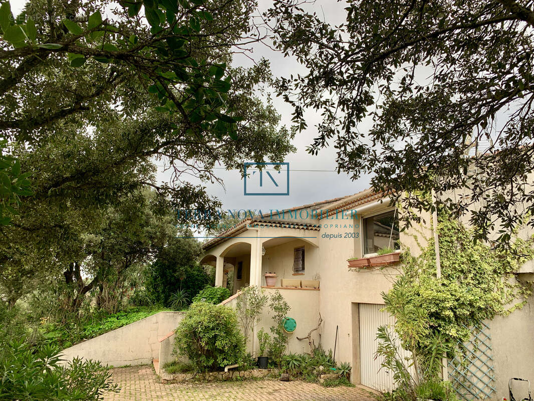 Villa plain-pied au coeur du Golfe du Valinco - photo 5