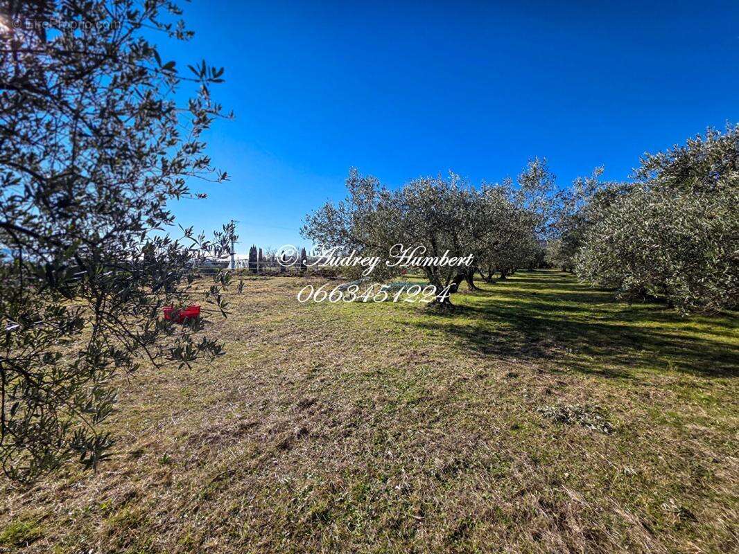 Maison à VILLENEUVE