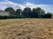 Terrain à VILLENEUVE-TOLOSANE