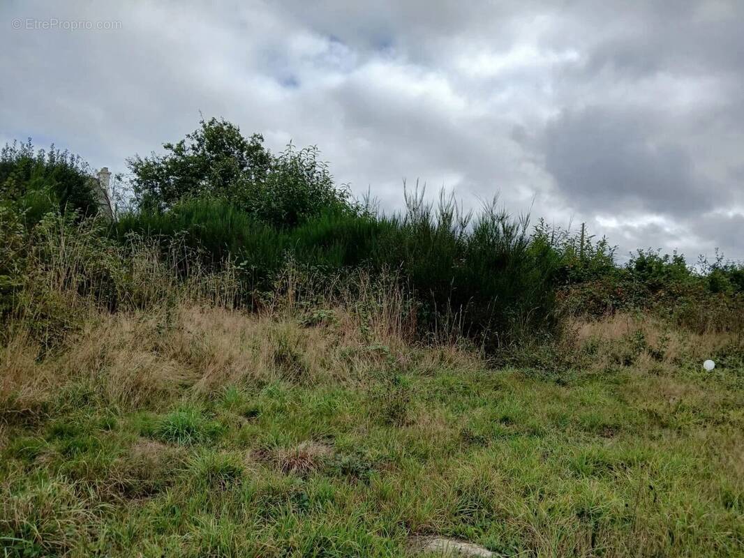 Terrain à BEGARD