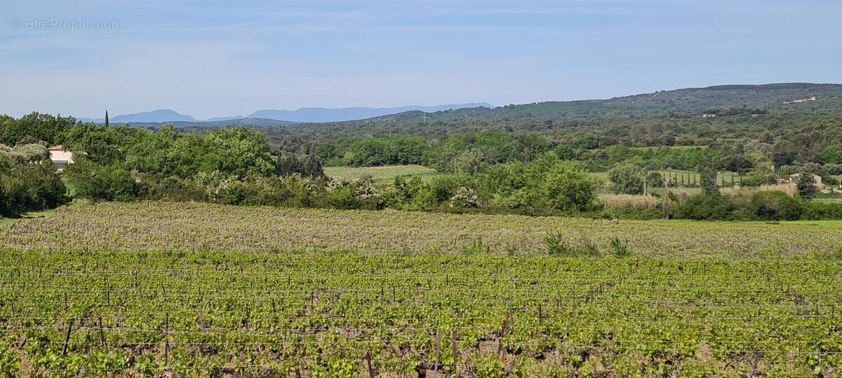 Maison à SAINT-QUENTIN-LA-POTERIE