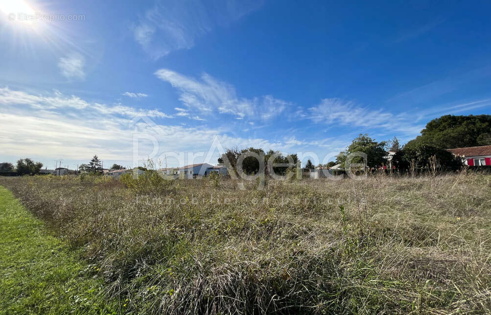Terrain à SAUJON