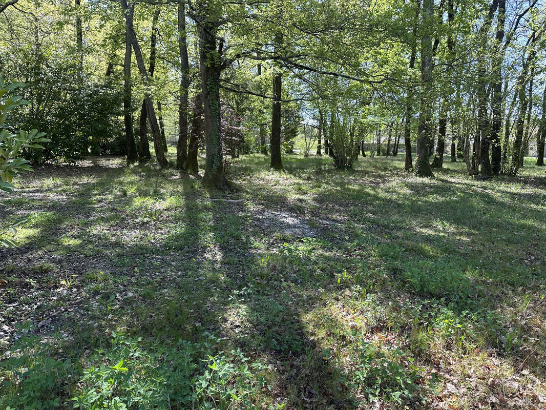 Maison à SAINT-BRICE