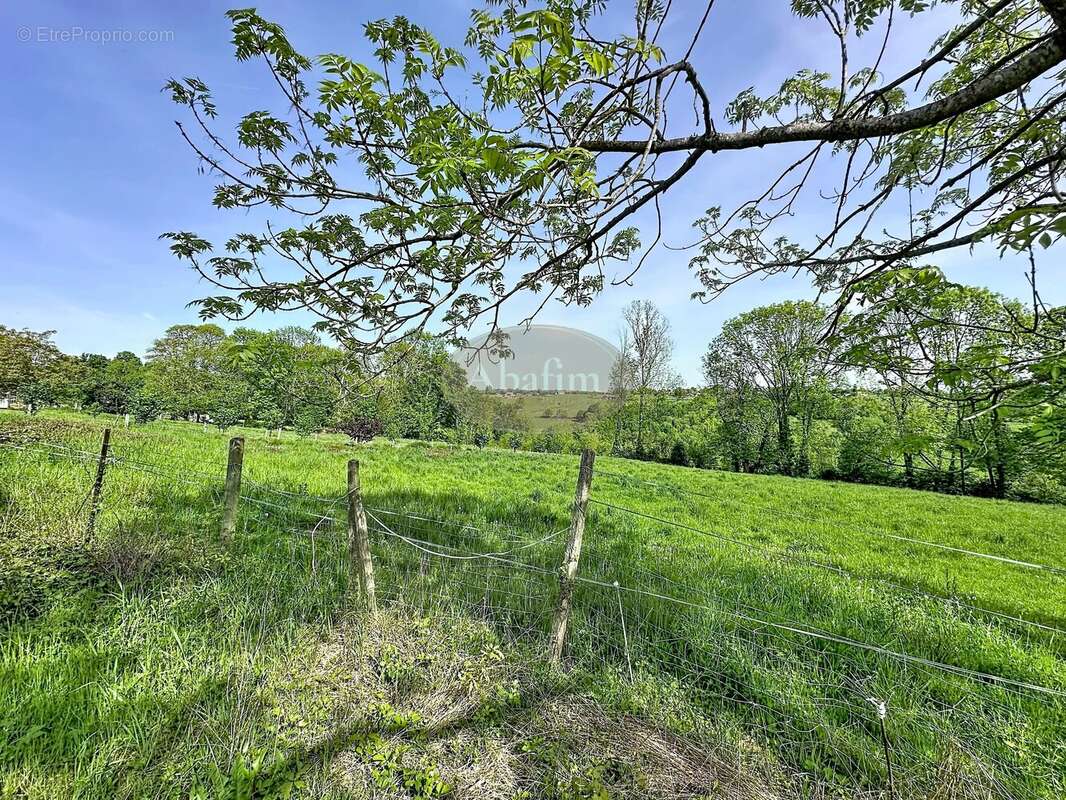 Maison 90 m² à Montrejeau  - photo 14