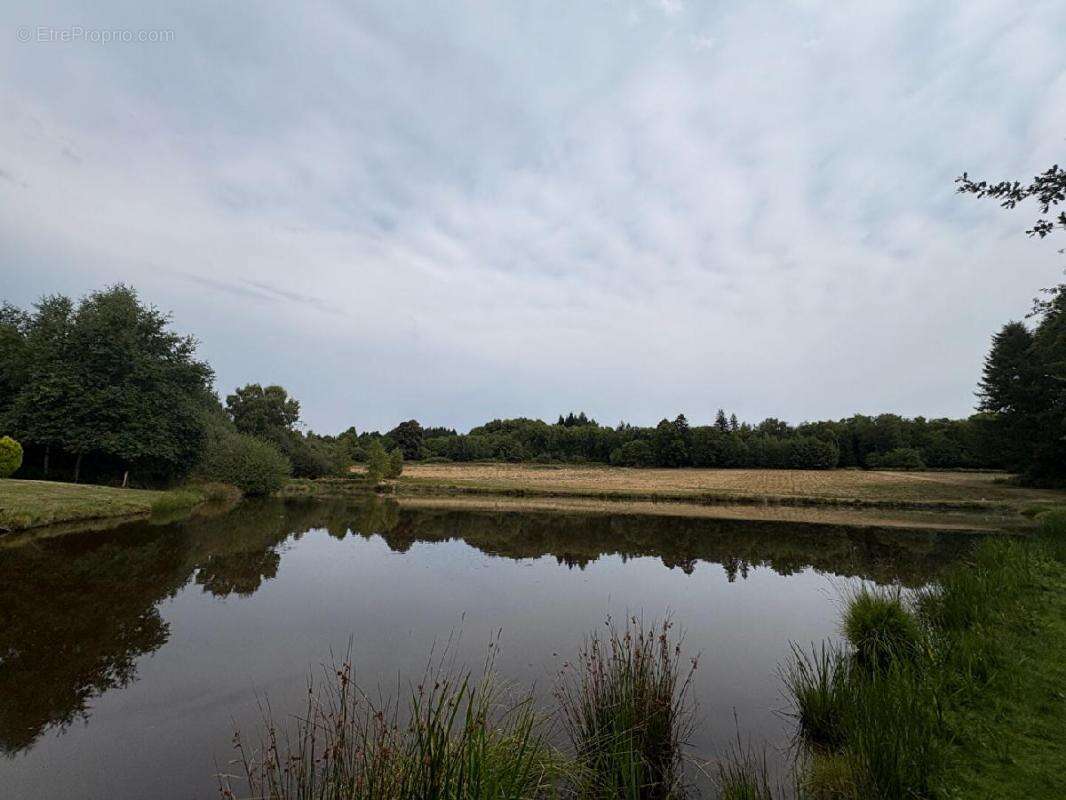 Terrain à DOURNAZAC