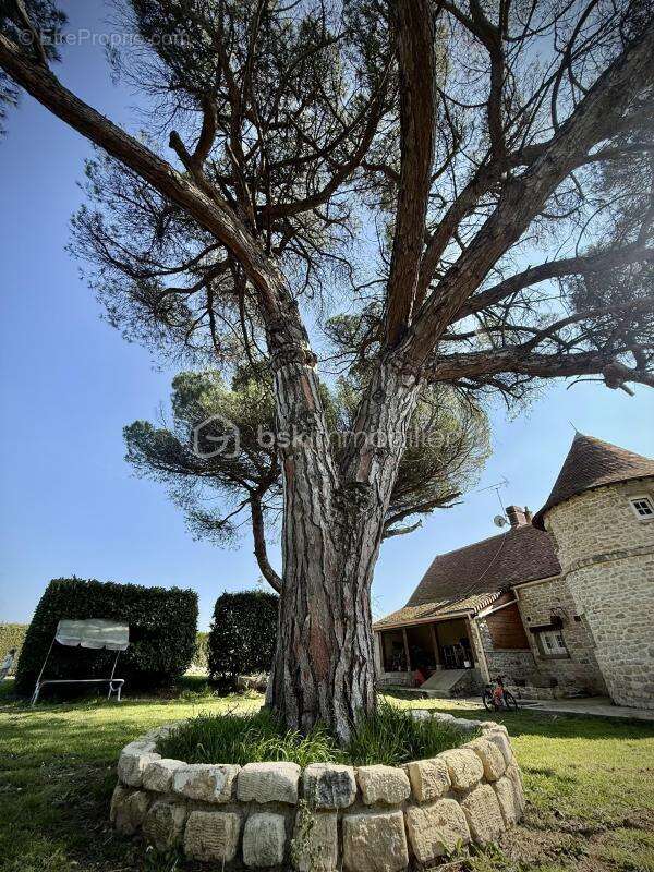 Maison à FONTAINEBLEAU