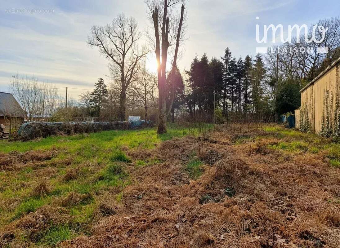 Terrain à LES BRULAIS