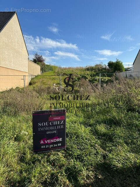 Terrain à SOUCHEZ