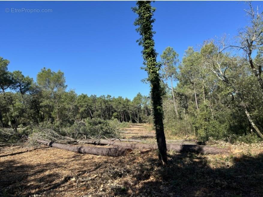 Terrain à SUZE-LA-ROUSSE