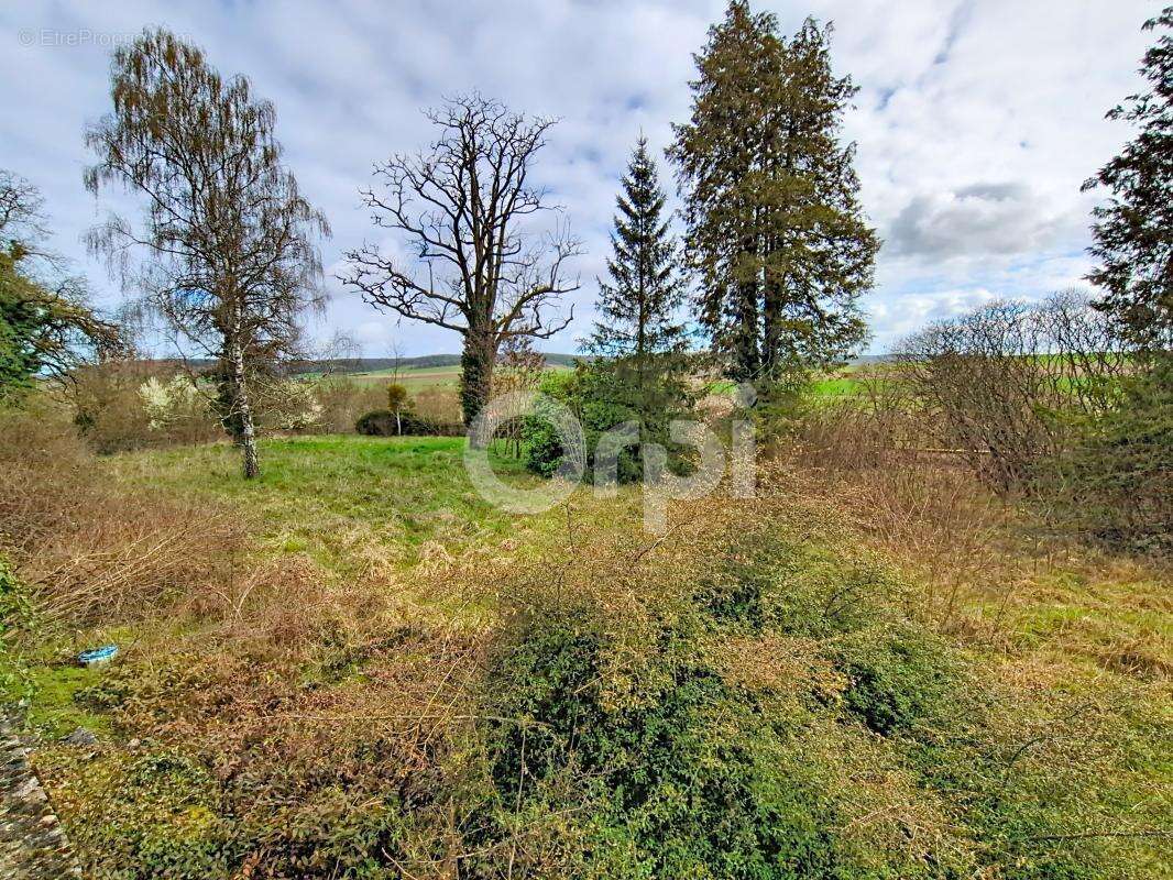 Maison à LAFERTE-SUR-AUBE