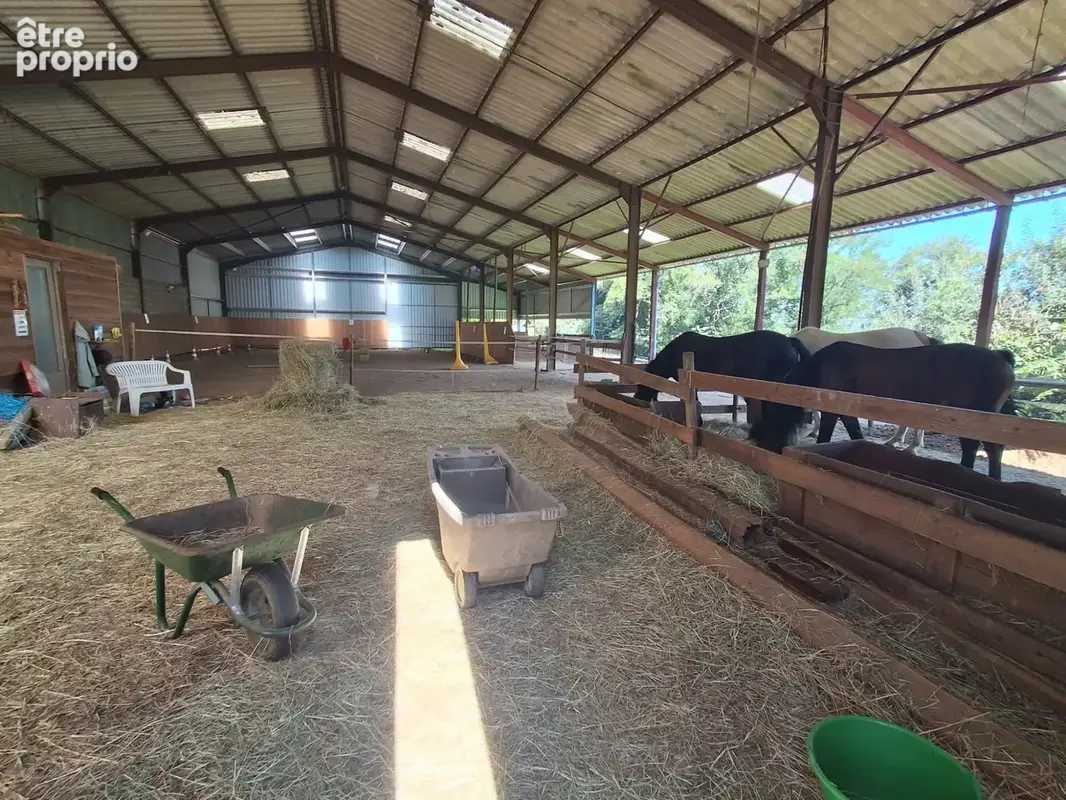 Photo Maison à Sussac au prix de 264 000€
