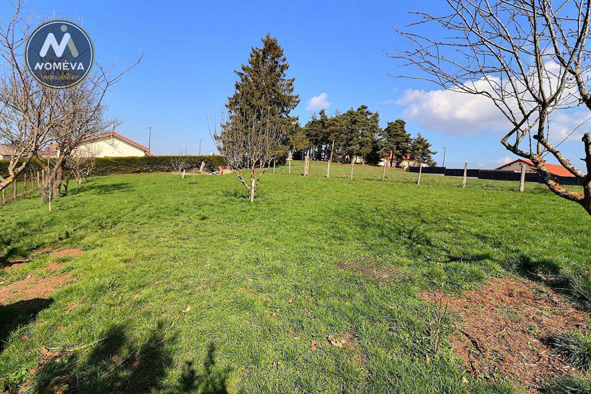 Terrain à MONTFAUCON-EN-VELAY