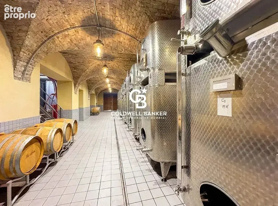 Château Les Apiès : Exclusivité d'un Actif Viticole et Foncier Intégré - photo 20