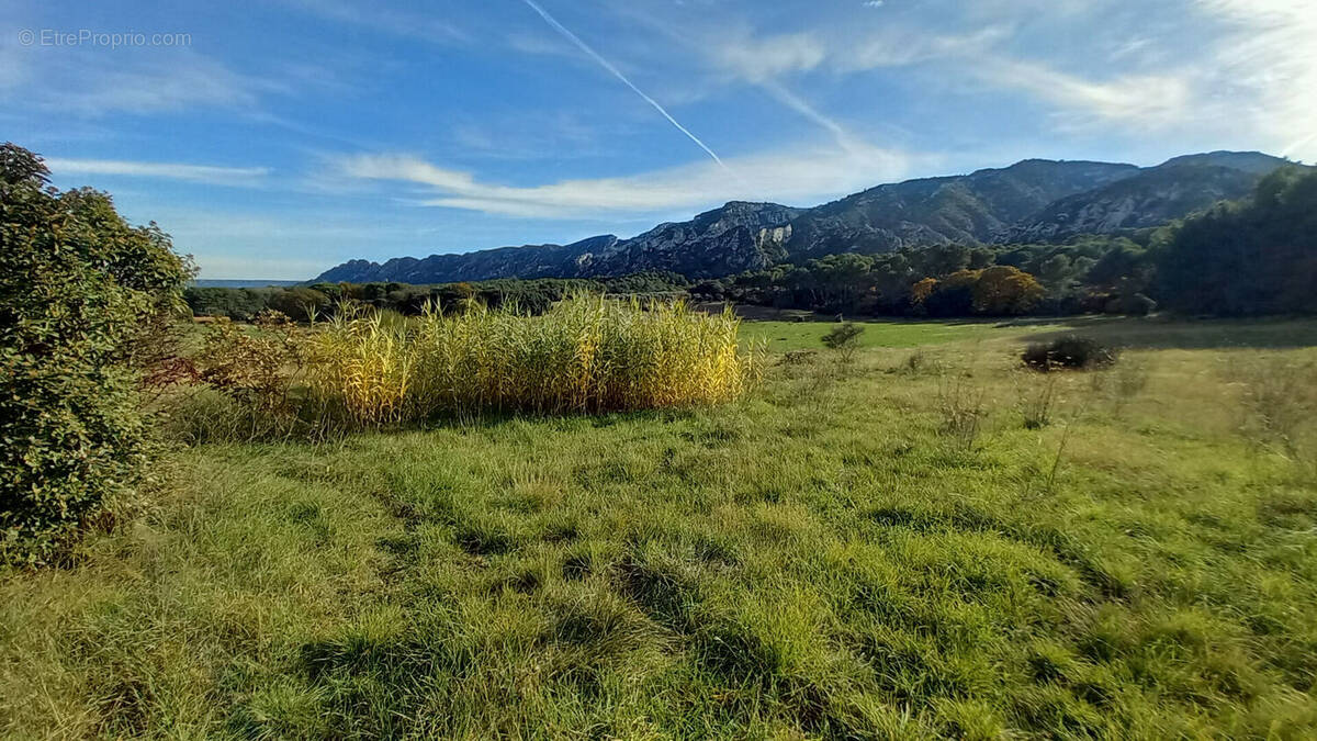 Maison à SAINT-REMY-DE-PROVENCE