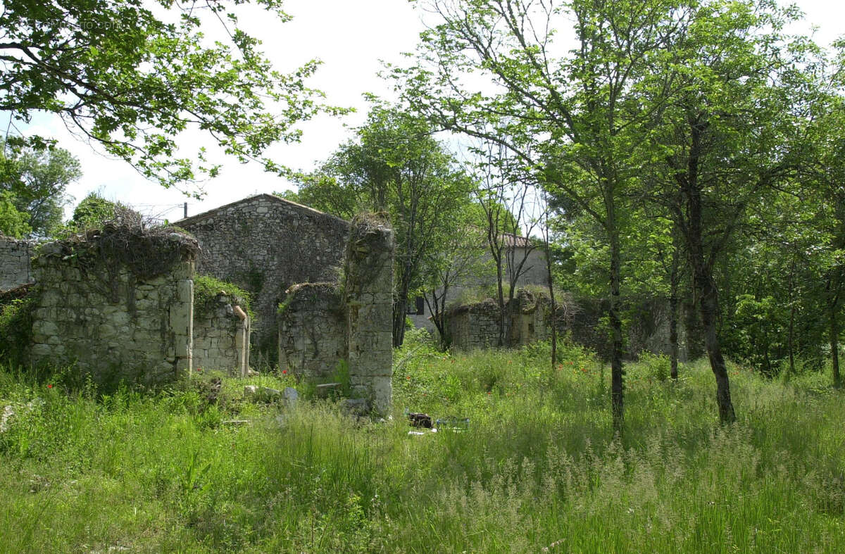 Ancienne ferme avec bois et prairies - photo 4