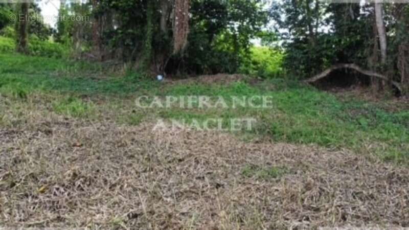 Terrain à LE LAMENTIN