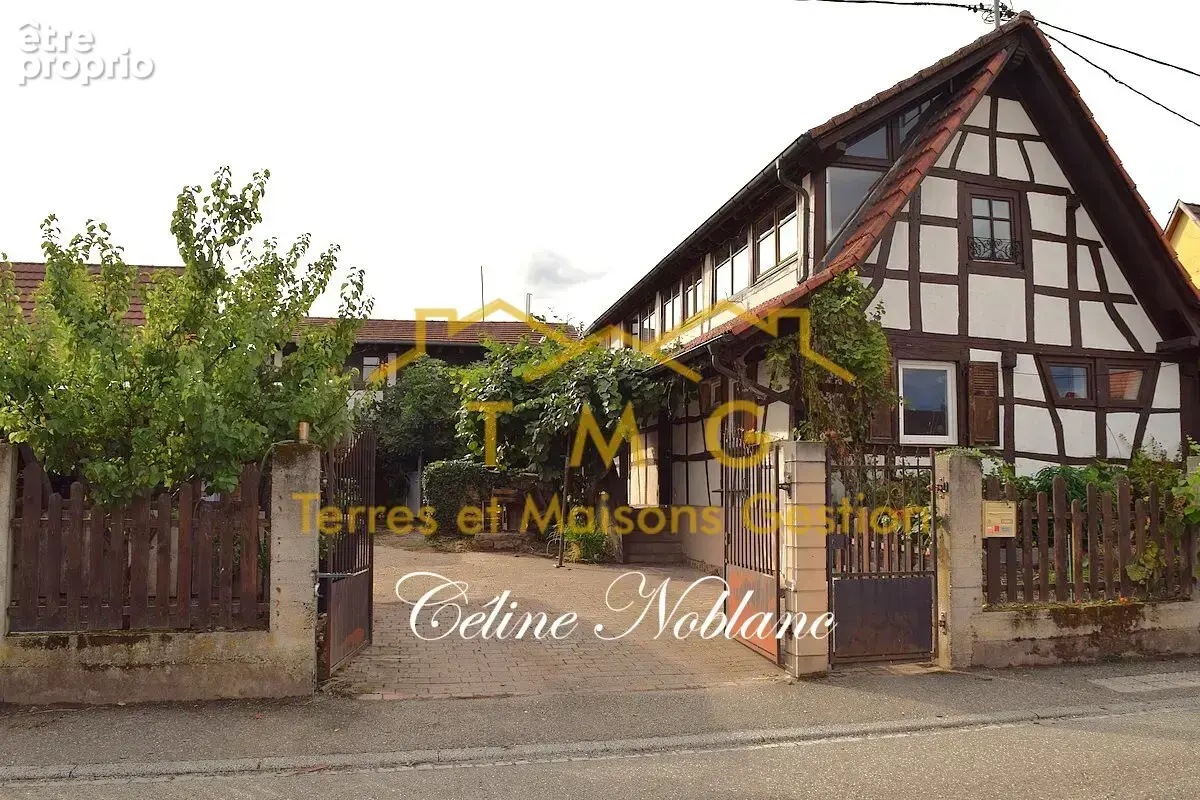 Maison à SELTZ