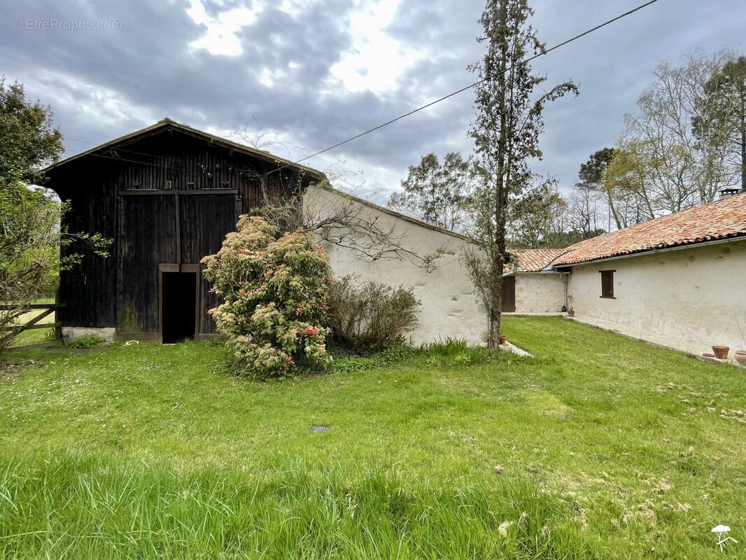 Maison à BAZAS