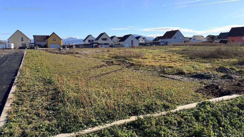 Terrain à BANTZENHEIM