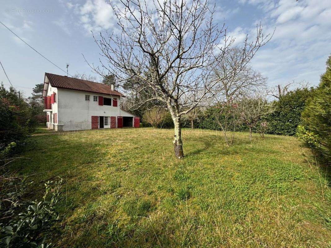Maison à vendre 7 pièces TERCIS LES BAINS (40), avec deux terrains détachables - photo 15