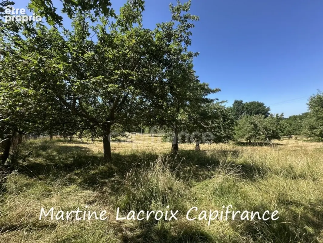 Dpt sarthe (72), à vendre proche de la ferte bernard - propriété  et dépendances - prairies de 11 hectares - photo 14