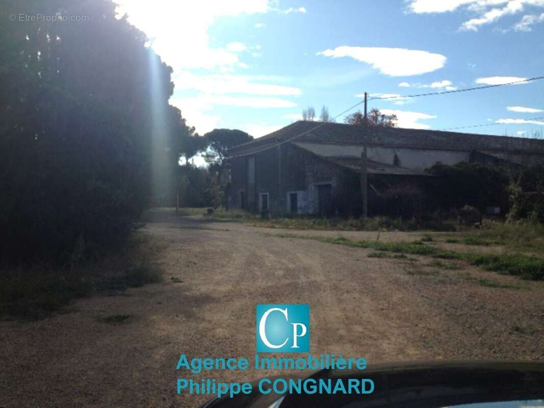 Photo 8 - Appartement à COLOMBIERS