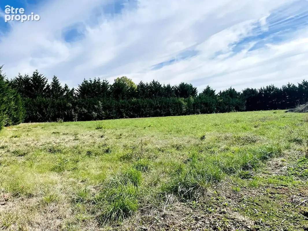 CUSSAY  - Le charme de la pierre, une vie de plain-pied et de belles dépendances - photo 5