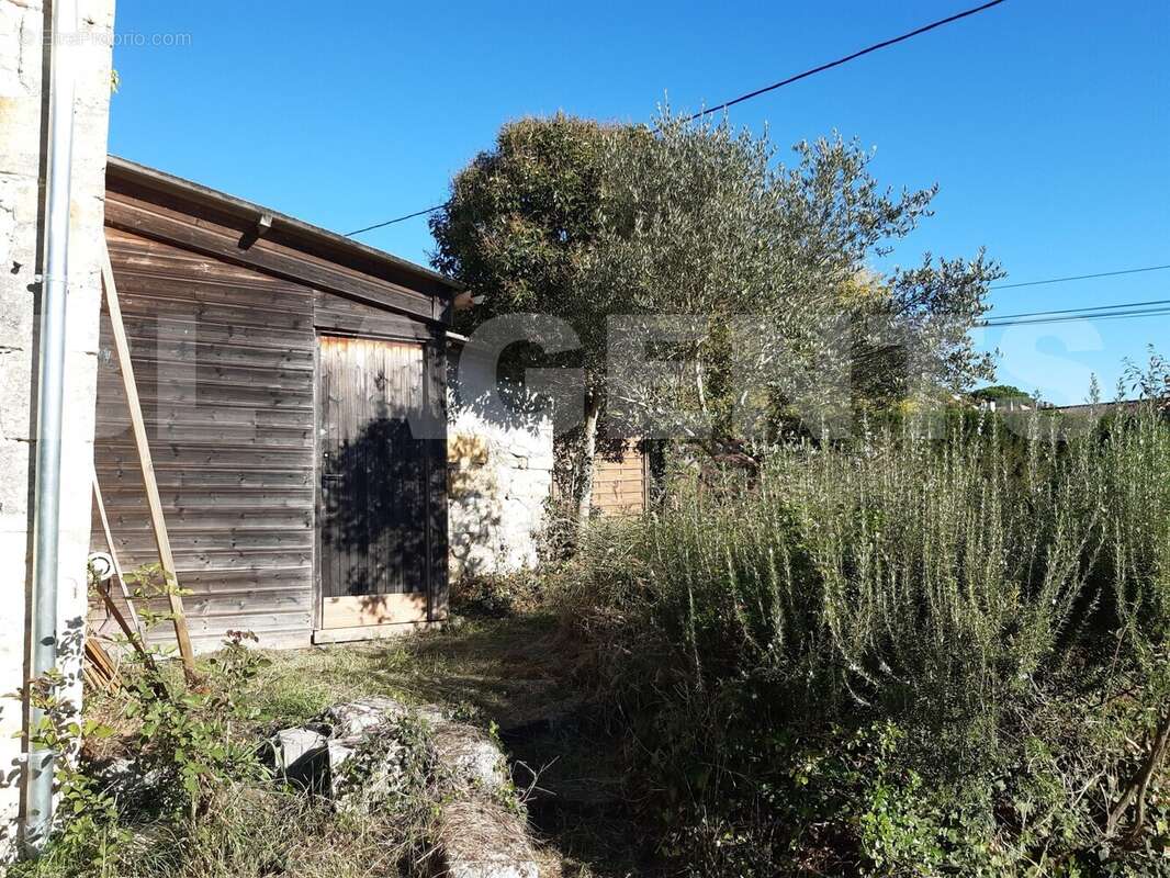 maison mr lefevre jardin bis - Maison à SAINT-CIERS-DE-CANESSE
