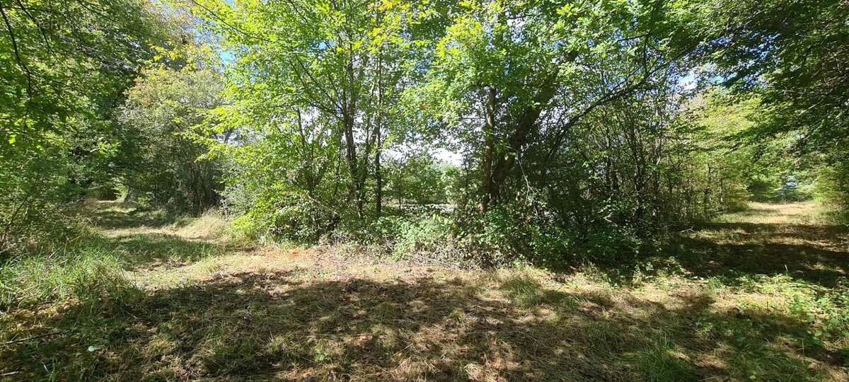 Photo 6 - Terrain à LA PEROUILLE