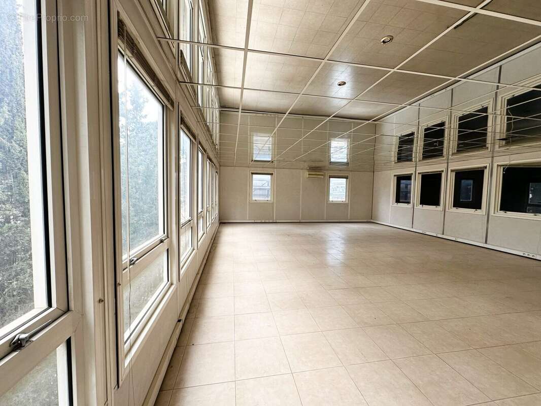 Commerce à LE CANNET