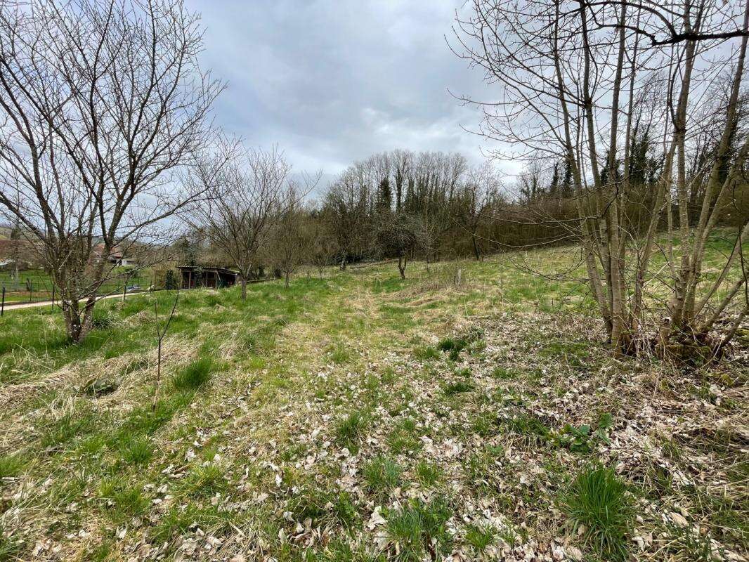 Terrain à JUSSEY