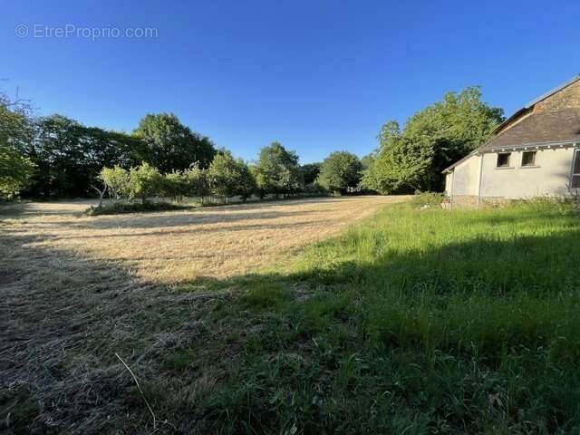 Corps de ferme - photo 17
