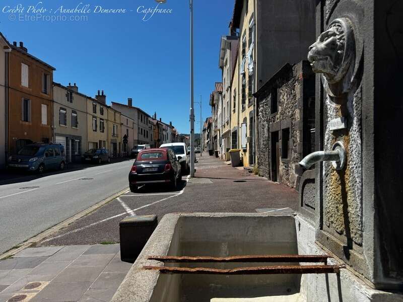 RIOM - EXCLUSIVITÉ – Maison de ville de caractère P6 entièrement rénovée avec jardin, abri et cave - photo 67