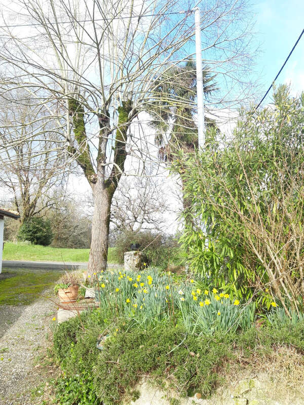 Maison à SAINT-EUTROPE-DE-BORN