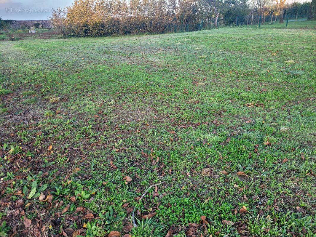 Terrain à FONTENAY-LE-COMTE