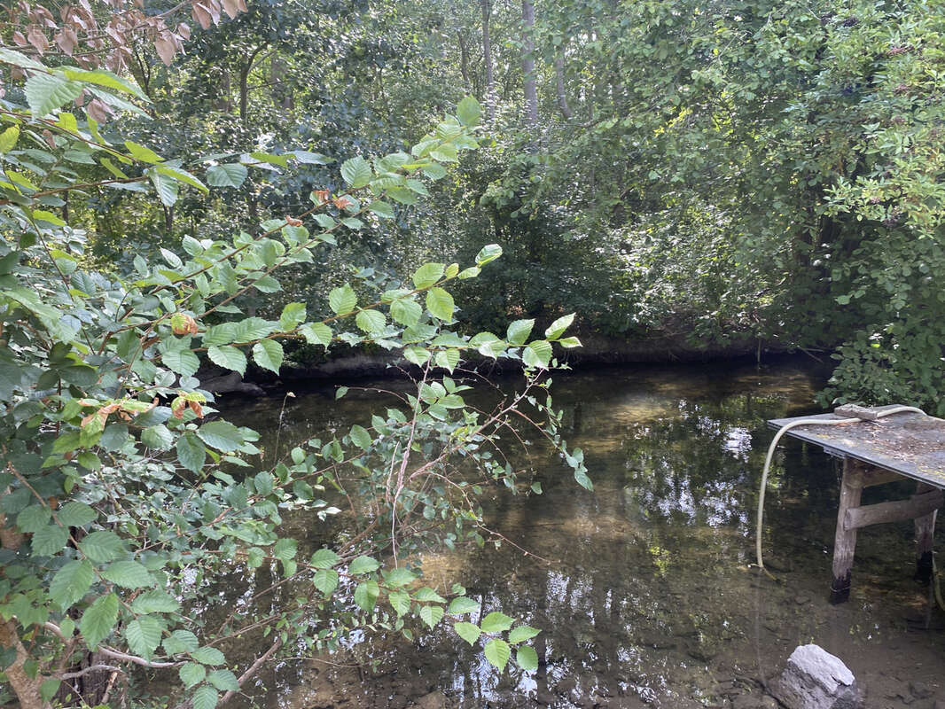 Proche Pacy-sur-Eure - photo 9