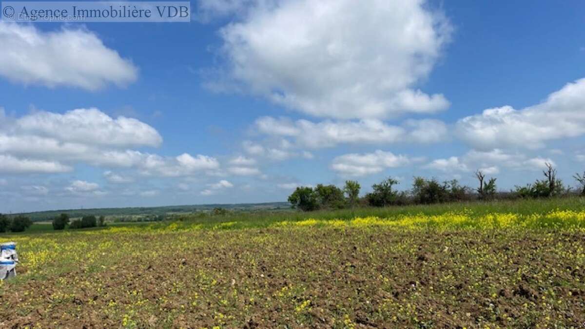 A vendre terrain constructible à HARAUCOURT - photo 4