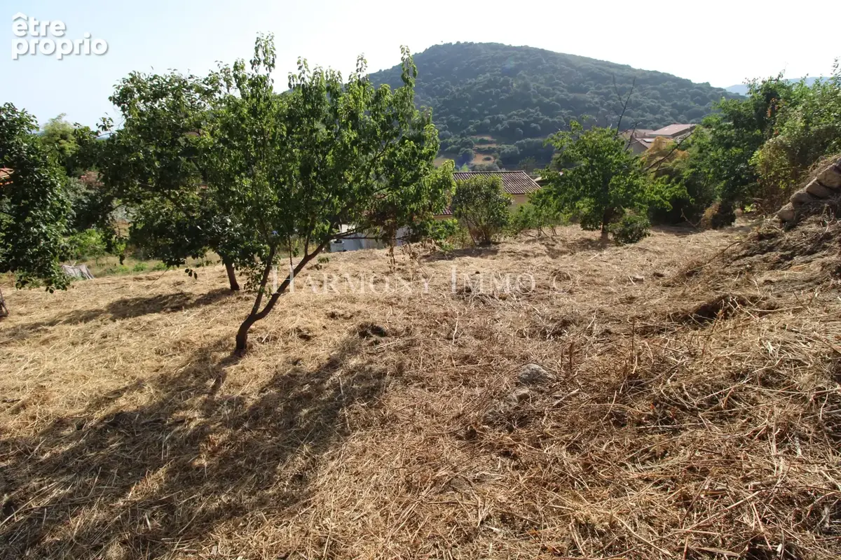 PILA-CANALE — Rare : Grand terrain en restanques de 2 154 m2avec bâtisse traditionnelle en granit à réhabilite - photo 2
