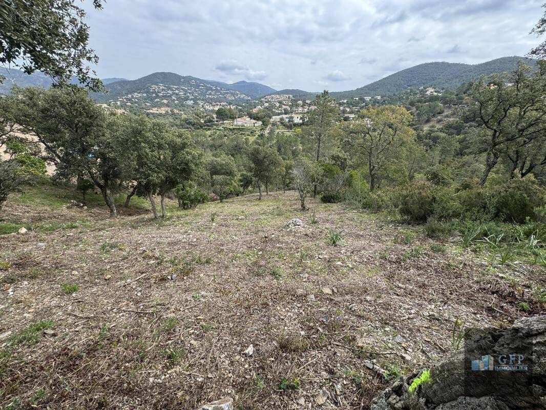 Terrain à LA LONDE-LES-MAURES