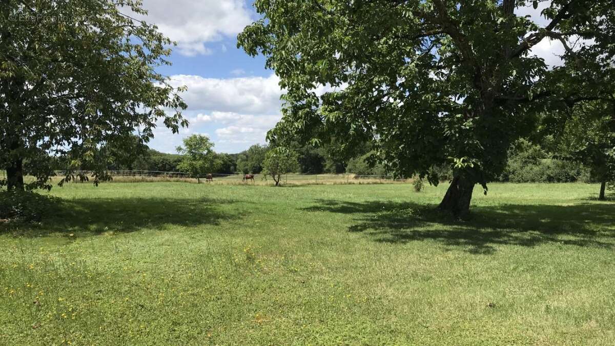 Maison à CHAMPAGNE-MOUTON