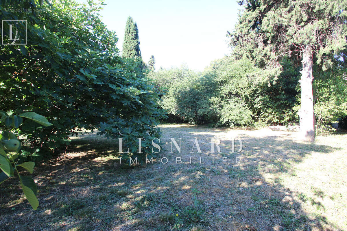 Terrain à VALLAURIS