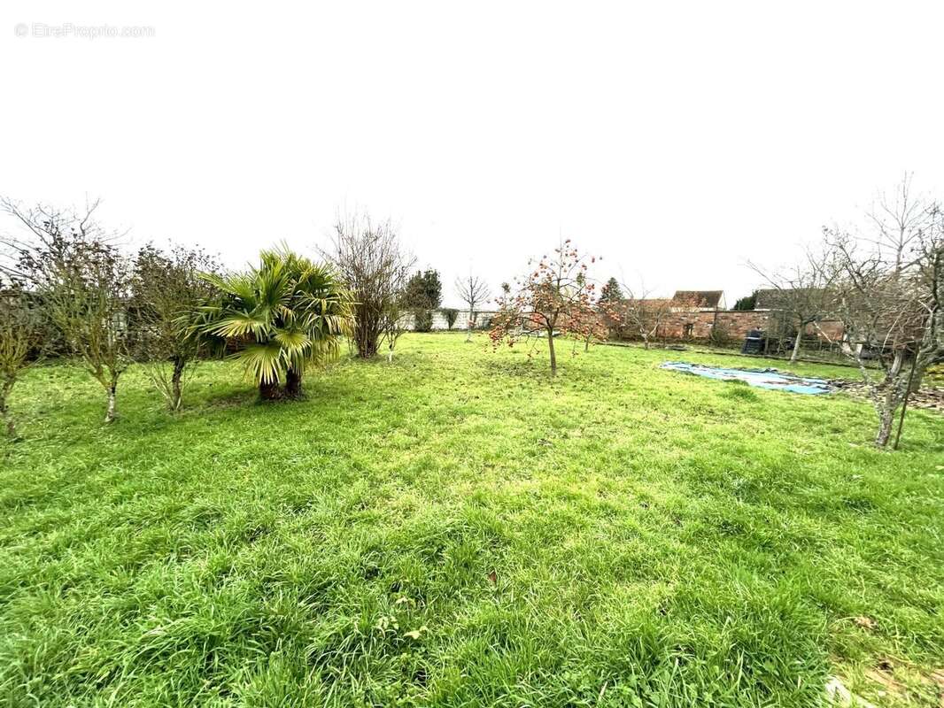 Photo 3 - Maison à LA FERTE-GAUCHER