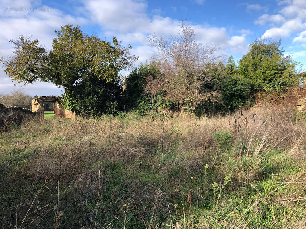 Terrain à SAINT-ELIX-LE-CHATEAU