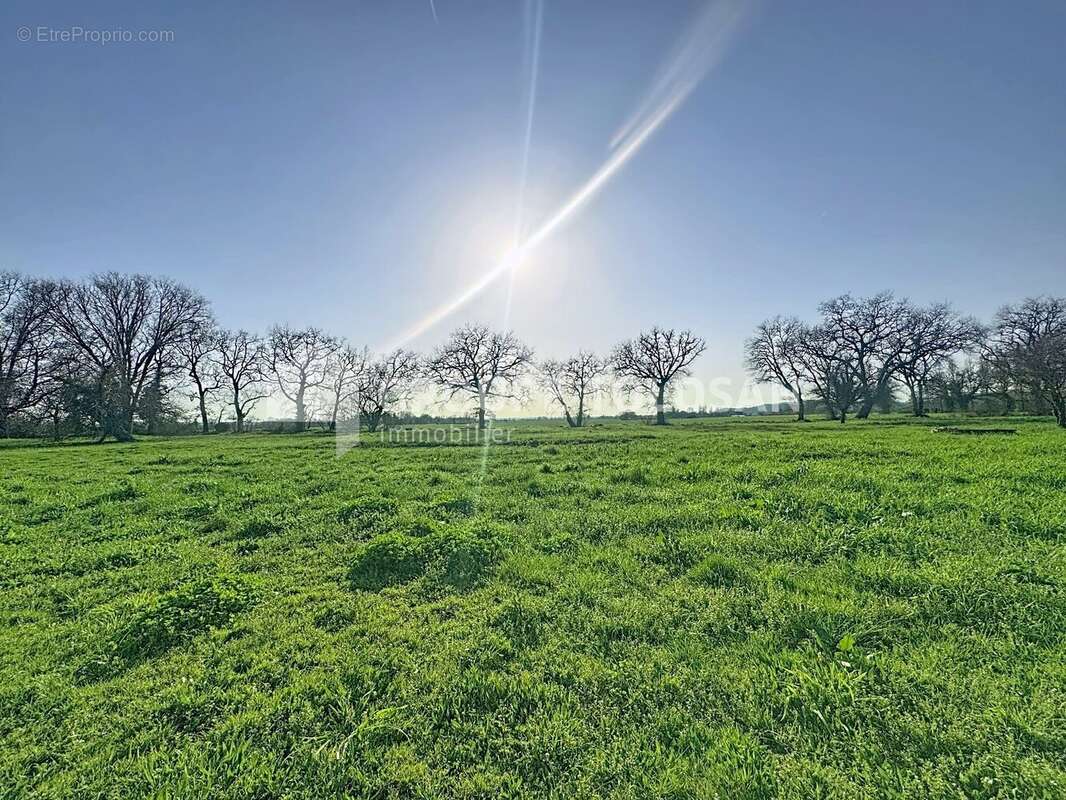 Maison à SAINT-SULPICE