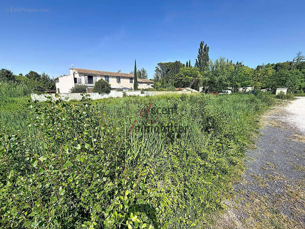 Terrain à SAINT-REMY-DE-PROVENCE