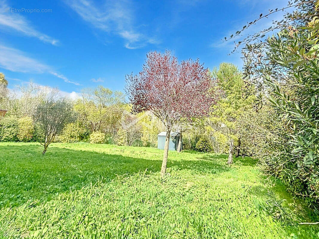 Maison à SAINT-GELY-DU-FESC