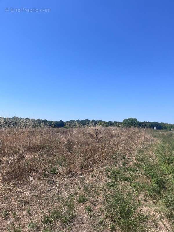 Terrain à MEURSAC