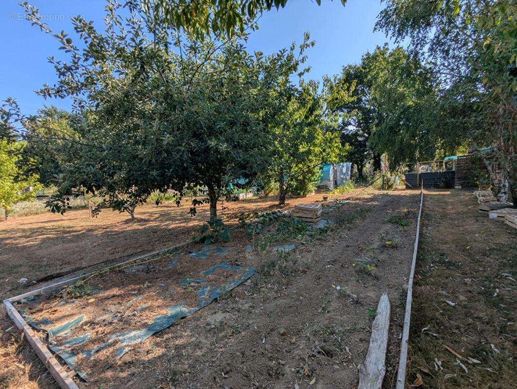 Maison  6 pièce(s) 139 m2? terrain 2520m² - photo 16